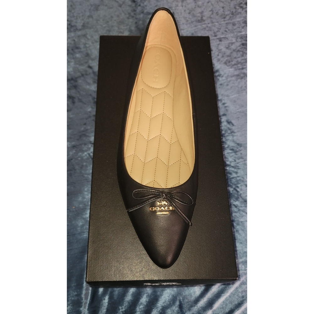 COACH Annabel Leather Ballet